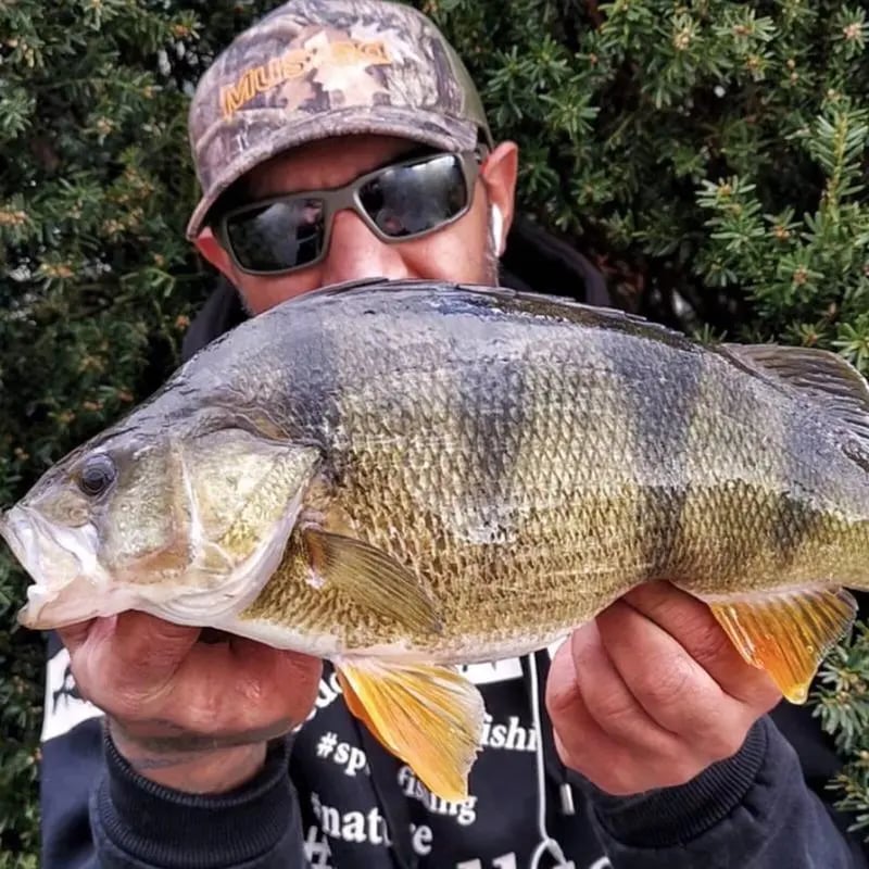 🔥Hot Sale 50% OFF -Polarized Sunglasses Rectangular Sunglasses For Men And Women