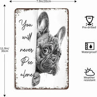 Dog - French Bulldog